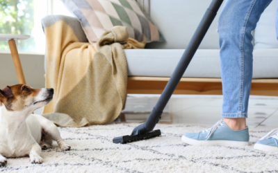 5 Signs It’s Time for a Professional Deep Clean in Your Home